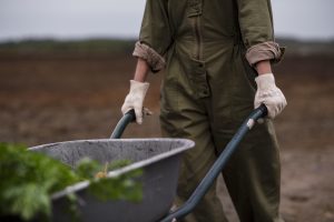 ayudas jovenes agricultores