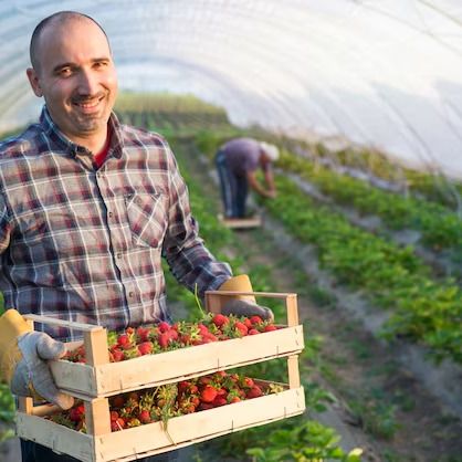 Los alimentos previstos para el reparto frente al Ministerio de Agricultura se entregarán al Banco de Alimentos